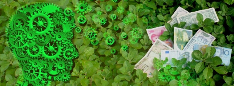 DalinYebo (Xhosa: Wealth Creation) - Converting Biomass to Chemicals &amp; Energy.