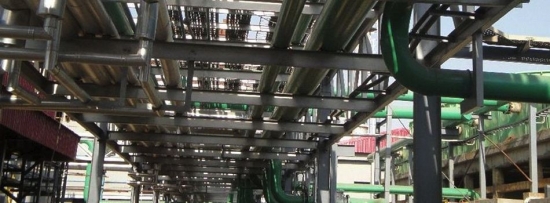 Interconnections (Piperacks at Arcoy Biorefinery)