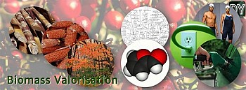 Biomass Valorization