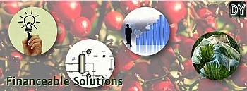 Financeable Solutions