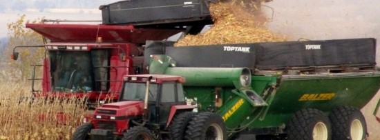 Co-harvesting of maize and cobs make business...