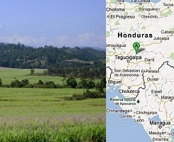 MIZ µ-BioRefinery™ (Hondura..